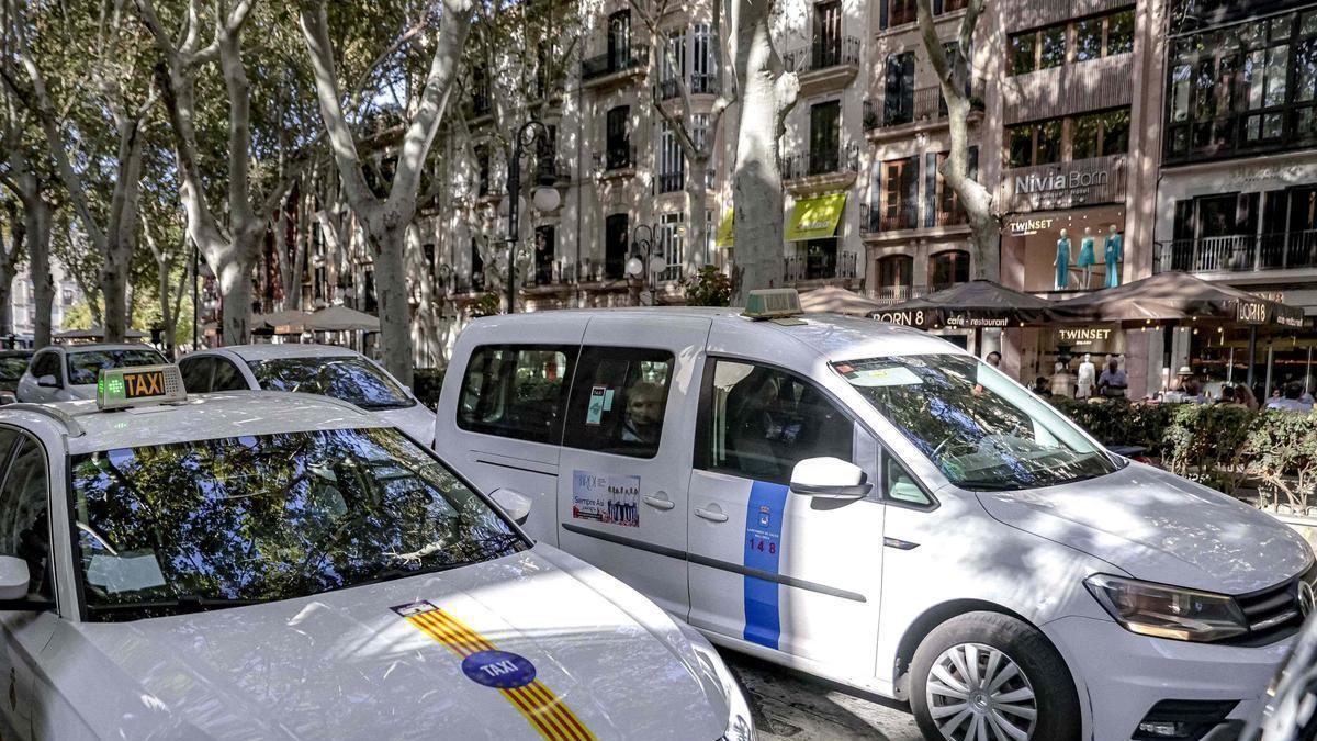 Nueve municipios, entre ellos Palma y Calvià, colaboran en la recogida de pasajeros.