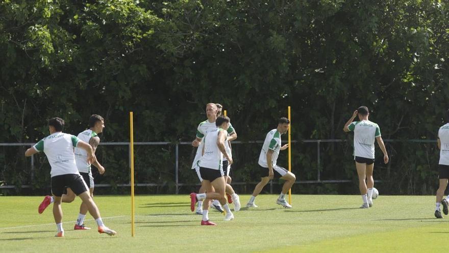 Córdoba CF-Sporting de Gijón: horario y dónde ver por televisión el choque entre históricos en El Arcángel