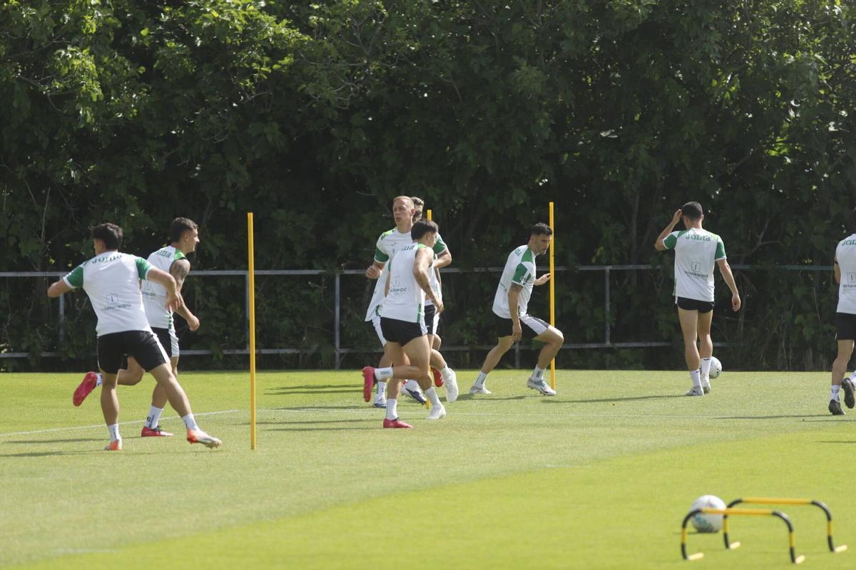 Varios jugadores de la plantilla del Córdoba CF durante un entrenamiento esta semana.