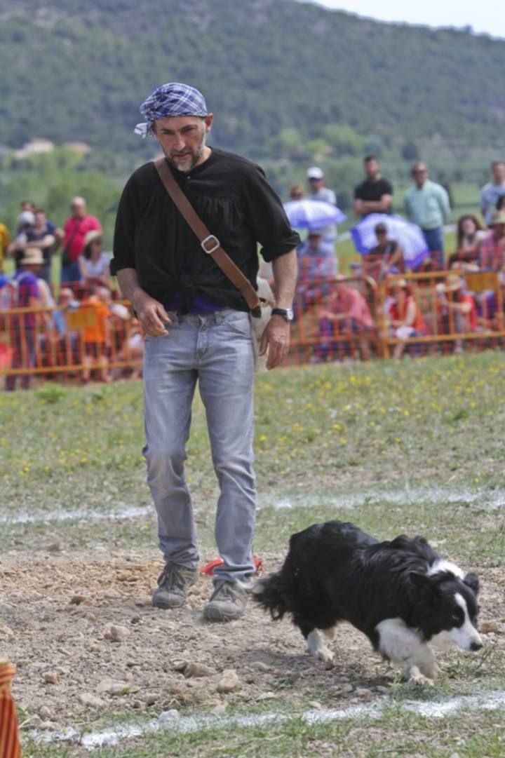 La Valleta de Agres ha sido un año más el escenario del Concurs de Gossos de Ramat