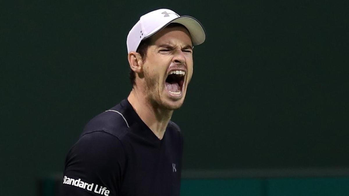 Murray celebra con rabia su victoria ante Berdych y ahora le espera Djokovic en la final de Doha