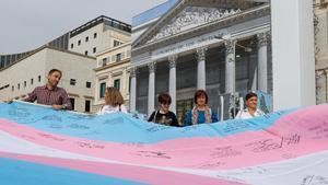 Varios activistas protestan a favor de la ley trans a las puertas del Congreso de los Diputados.