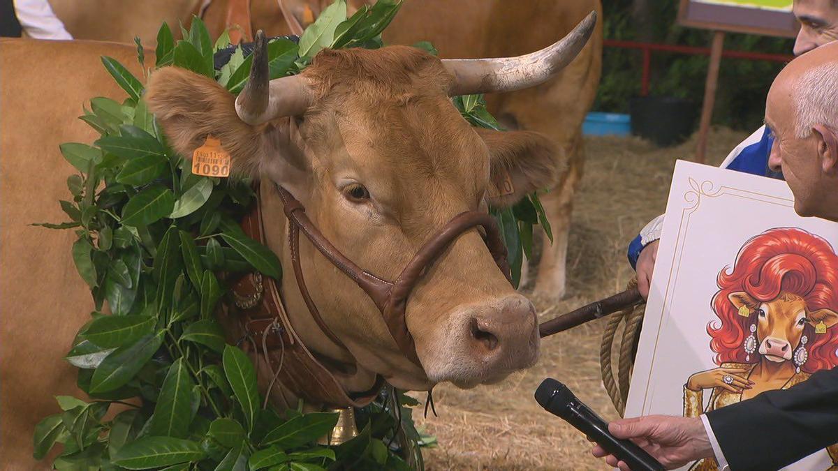 Paloma, ganadora del concurso Miss Vaca 2026.
