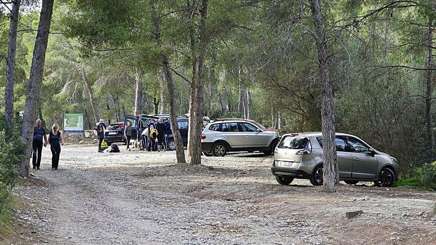 Ésta es la zona boscosa que se utiliza como aparcamiento en Cala Fornells.