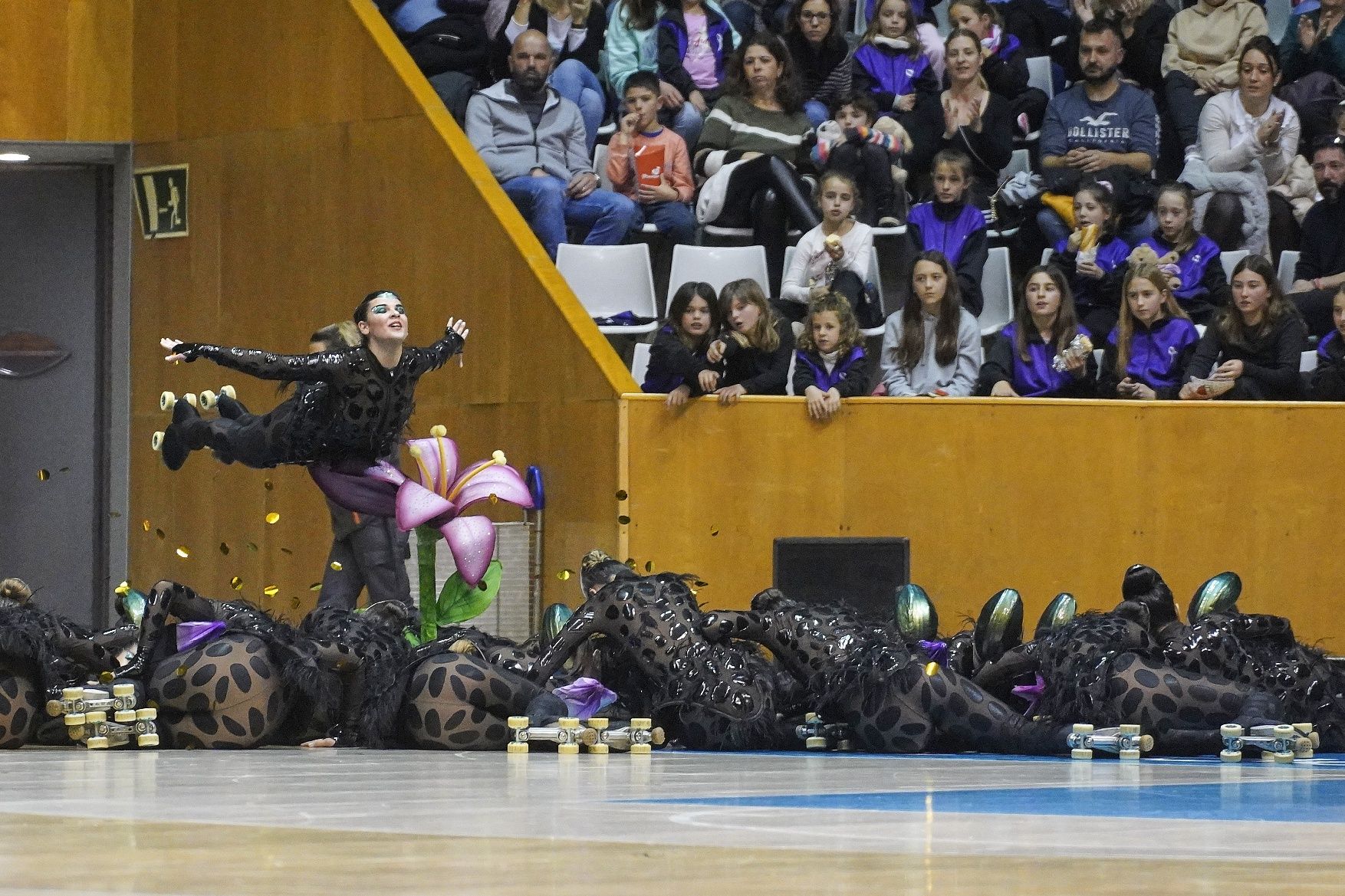 Totes les imatges del campionat de patinatge