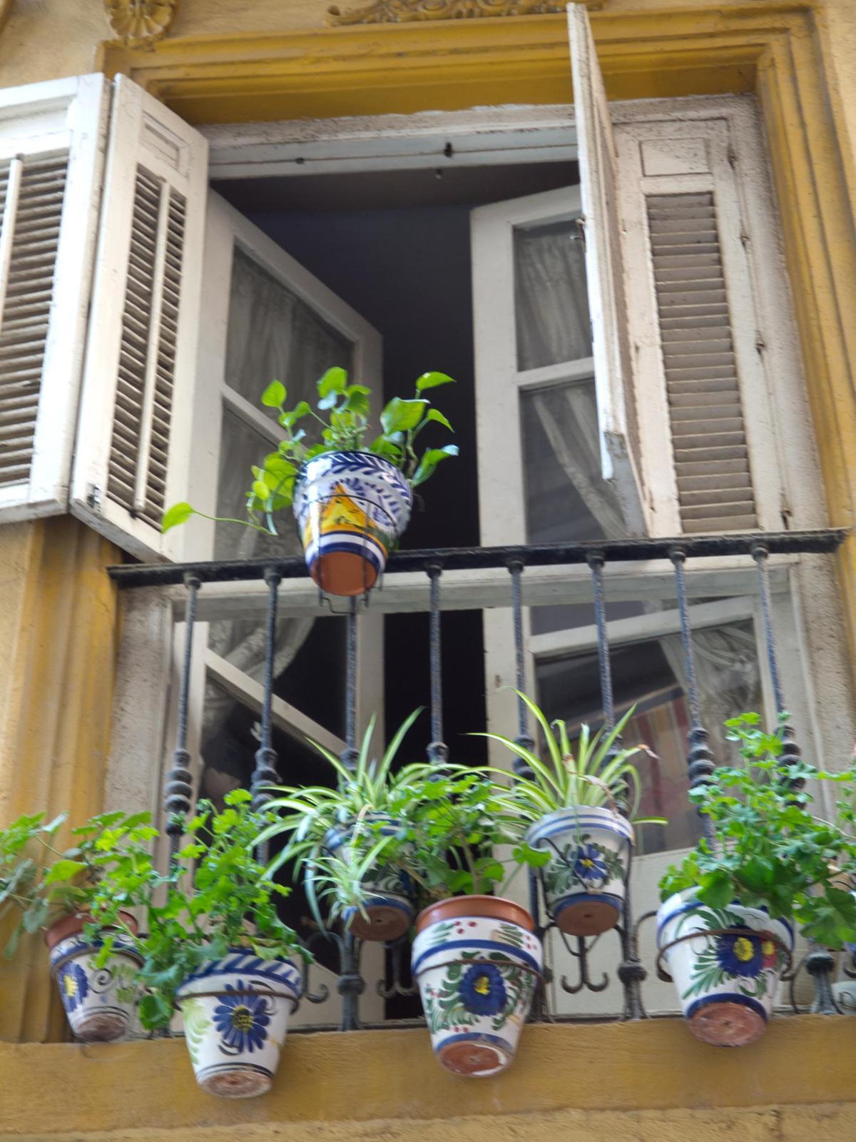 Macetas en balcón.