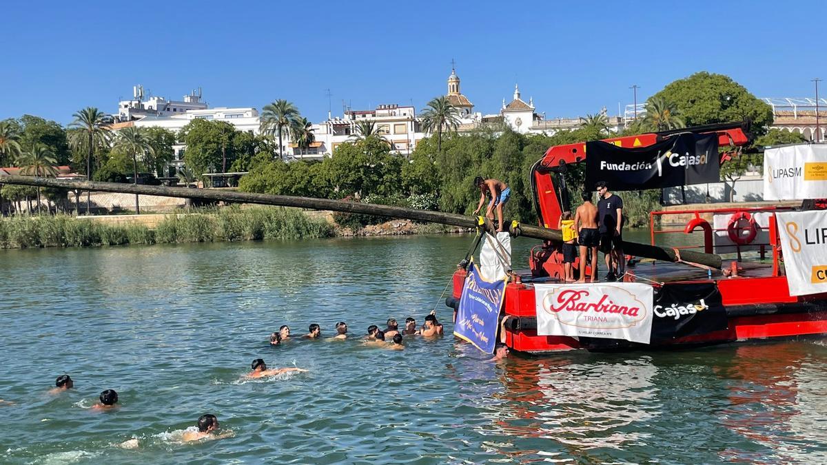 La tradicional cucaña de la Velá de Santa Ana