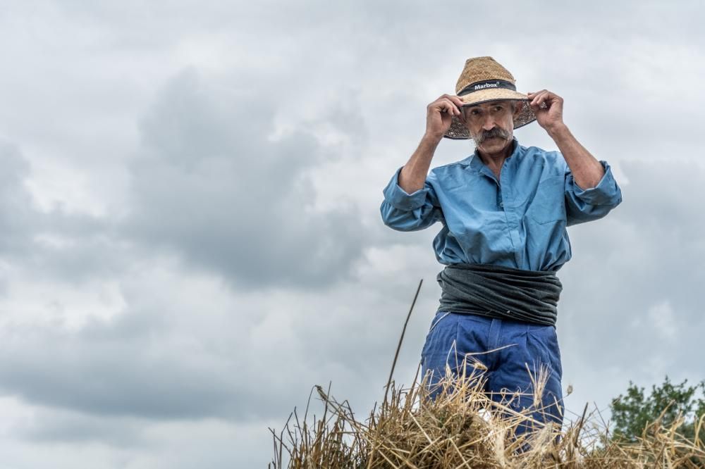 Avià manté amb força la transmissió de la tradició