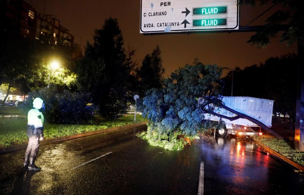 La gota fría desploma las máximas hasta 8 ...