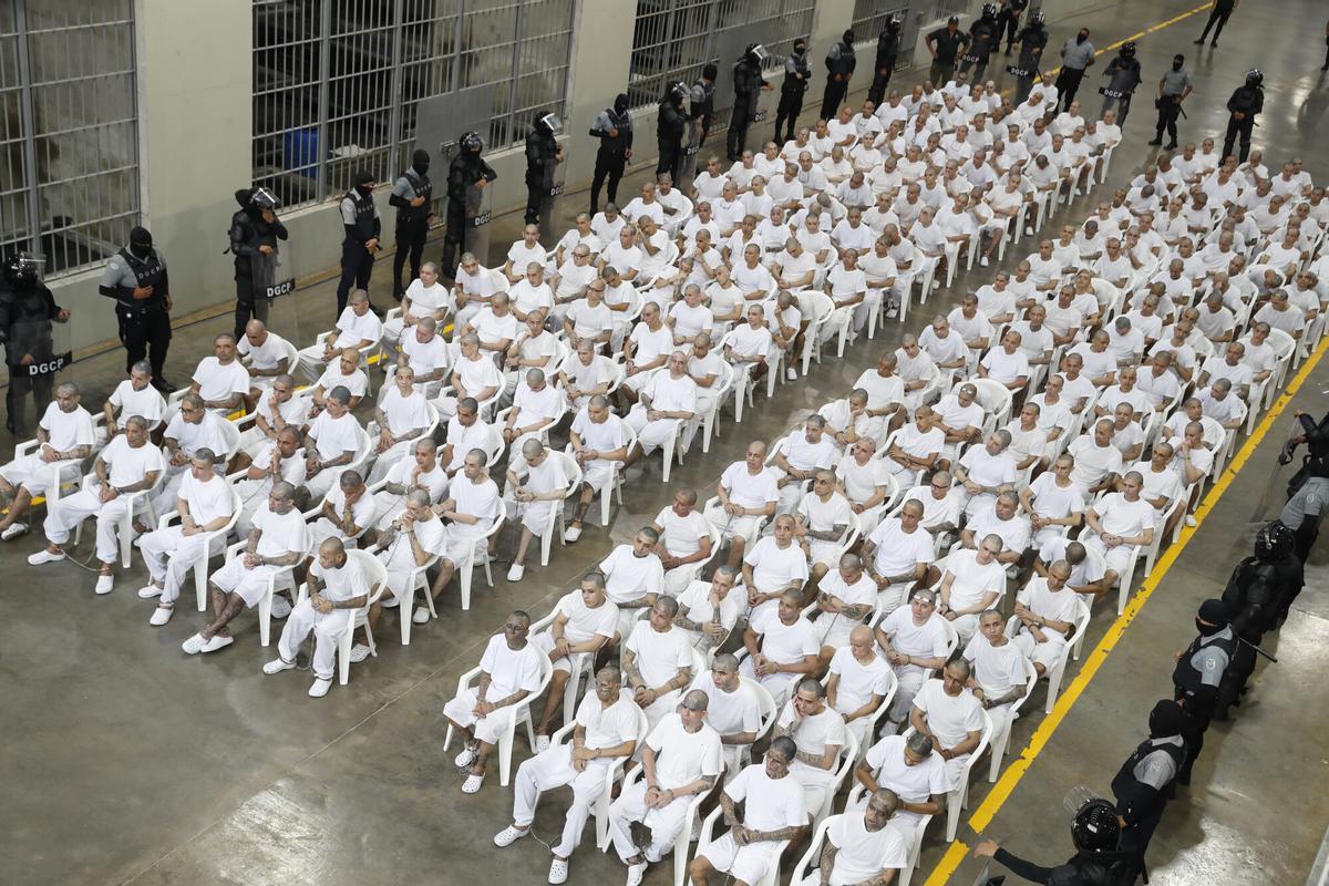 Presuntos integrantes de la Mara Salvatrucha (MS13), recluidos en el Centro de Confinamiento del Terrorismo (CECOT), asisten a una audiencia virtual este jueves, en Tecoluca (El Salvador). EFE/ Rodrigo Sura