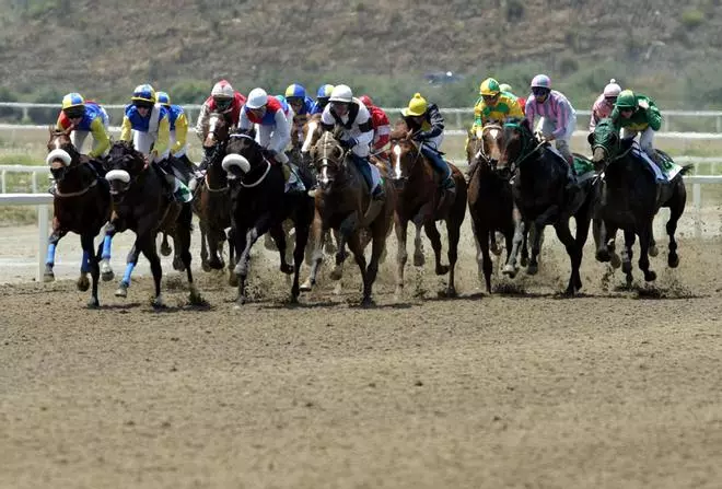 "Las élites de Sevilla y de Madrid hicieron inviable el Hipódromo de Mijas"