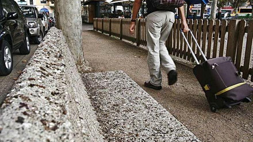 Un banc de la plaça Poeta Marquina, en una imatge d&#039;arxiu, abans que es fes una poda dràstica.