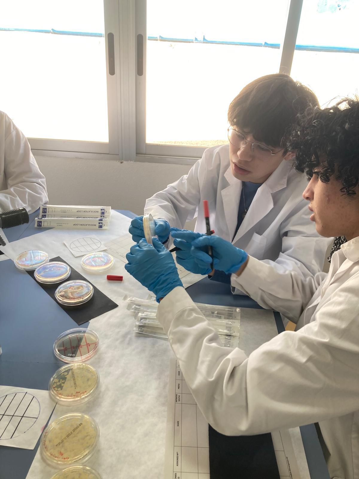 Estudiants de l'American School of Valencia (ASV) de Puçol treballant en el projecte SWICEU.