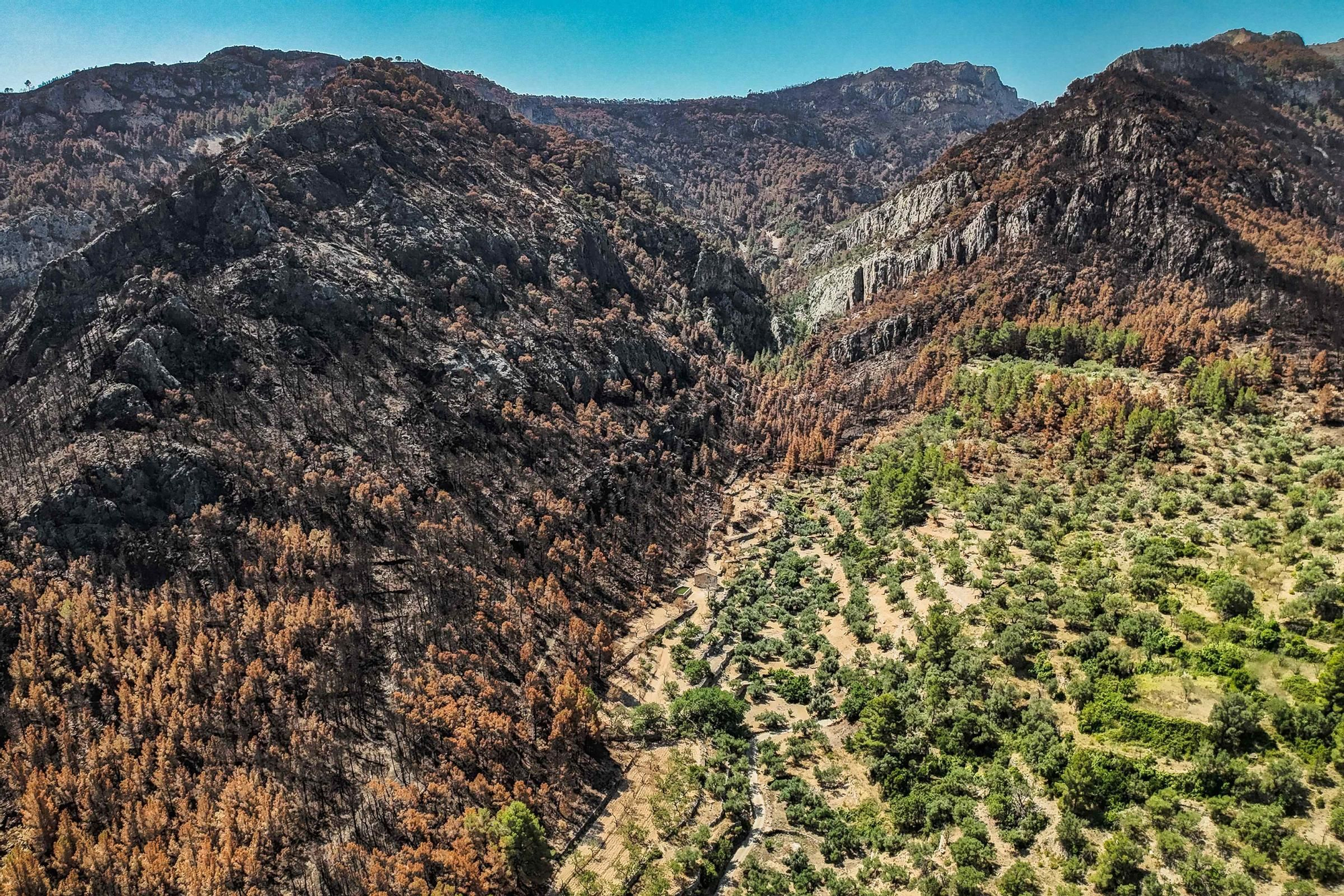 Les fotos de l'incendi de Paüls a vista de dron