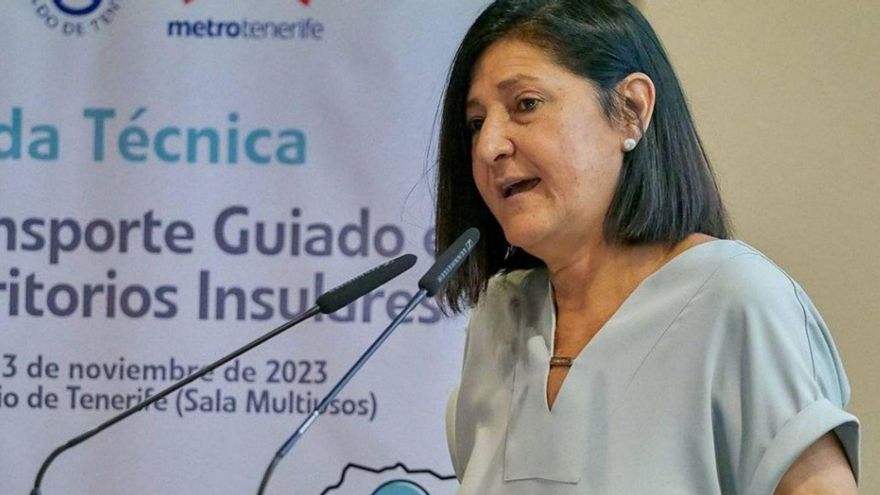 Cabildo Urges Madrid to Enhance Border Security at Tenerife South