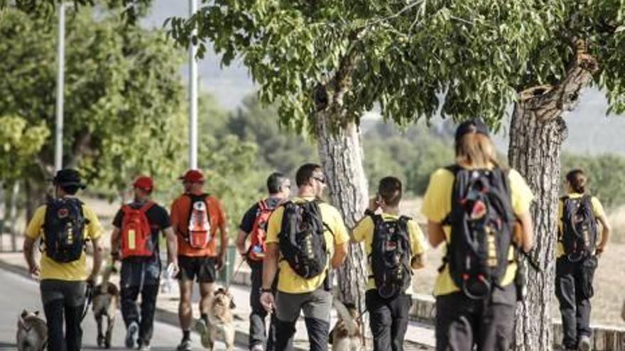 El dispositivo se reanudó a las siete de la mañana de ayer, pero se interrumpió de dos a seis de la tarde para evitar un golpe de calor entre los participantes.