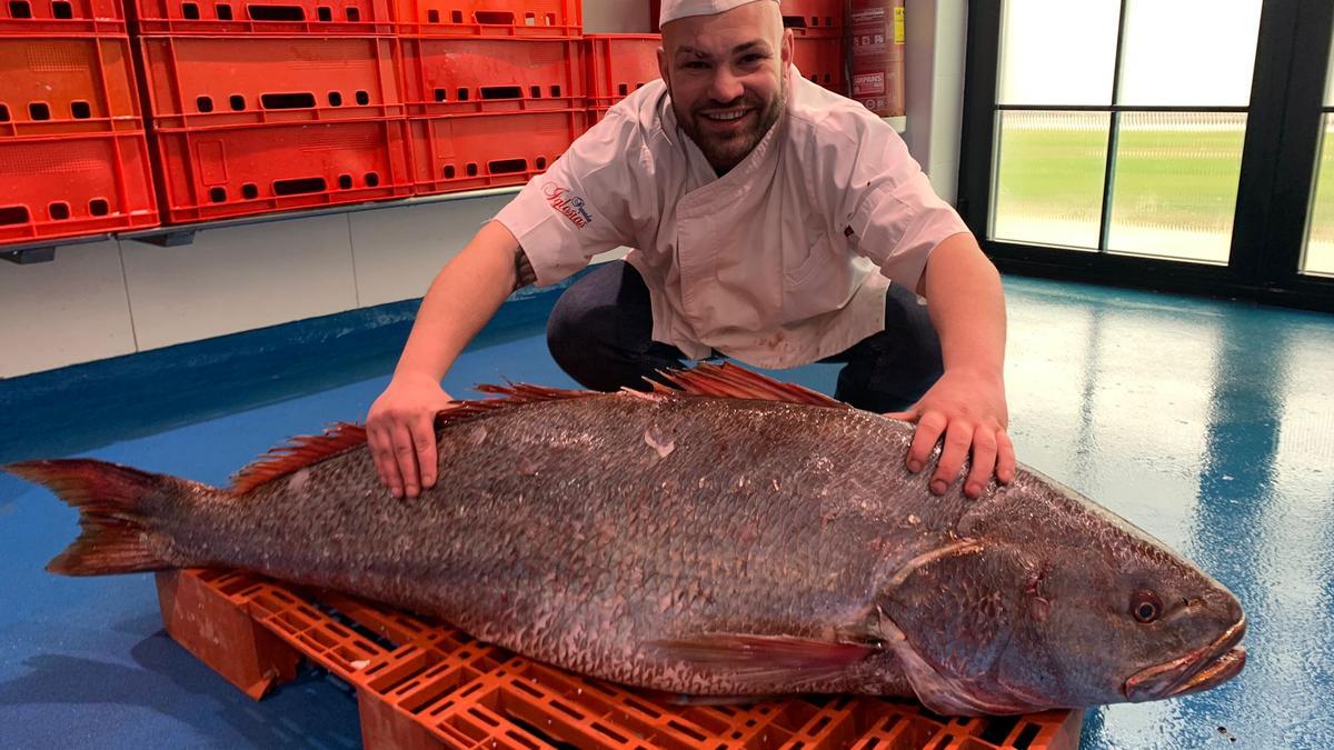 Eloy Iglesias, con la corvina de 48.3 kilos que ha recibido este jueves en su pescadería de Zaragoza.