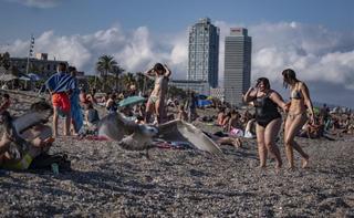 Vuelven los contenidos de verano a EL PERIÓDICO