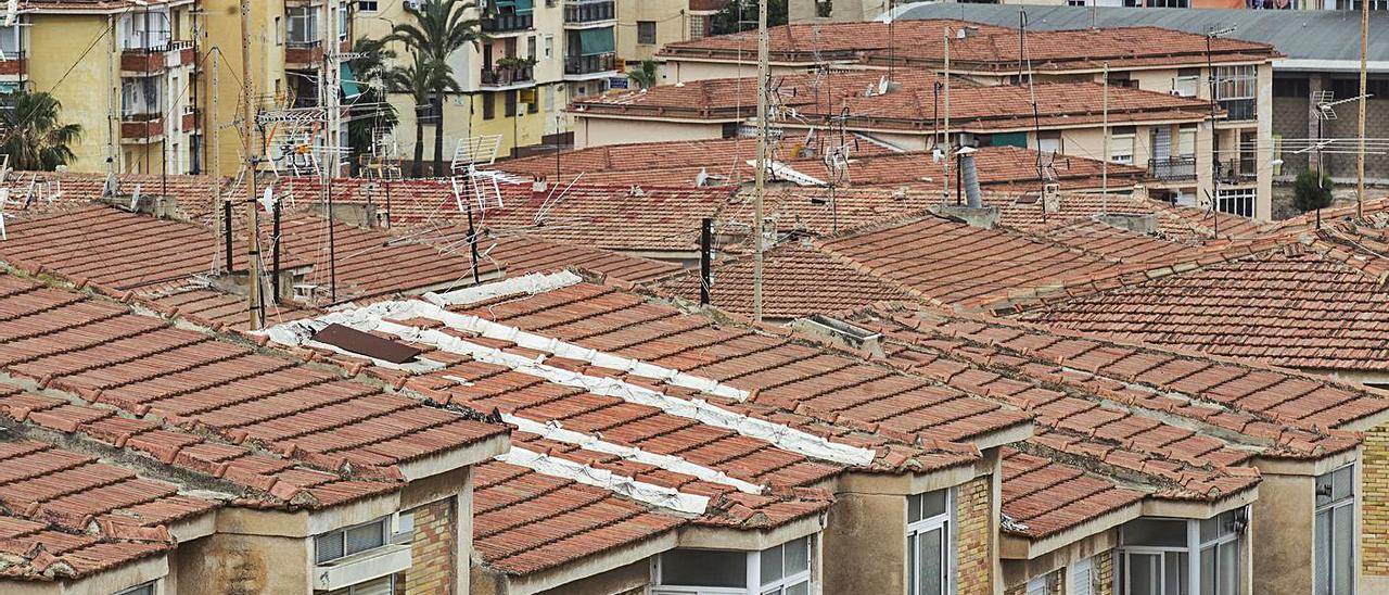 Imagen reciente de viviendas de la Zona Norte de Alicante. | ALEX DOMÍNGUEZ