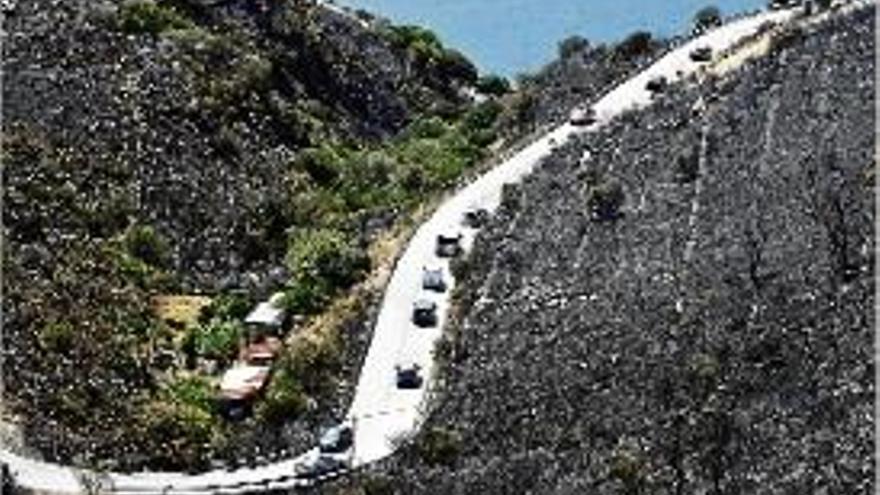 Incendi al coll de Belitres, a Portbou, el passat mes de juliol.