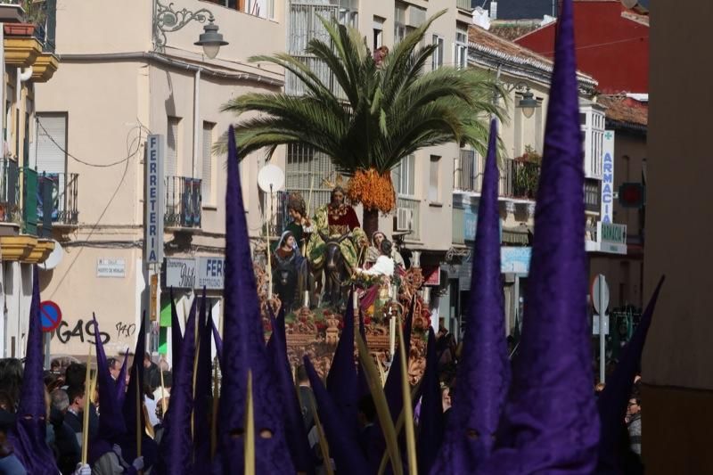 Domingo de Ramos de 2016 | Pollinica