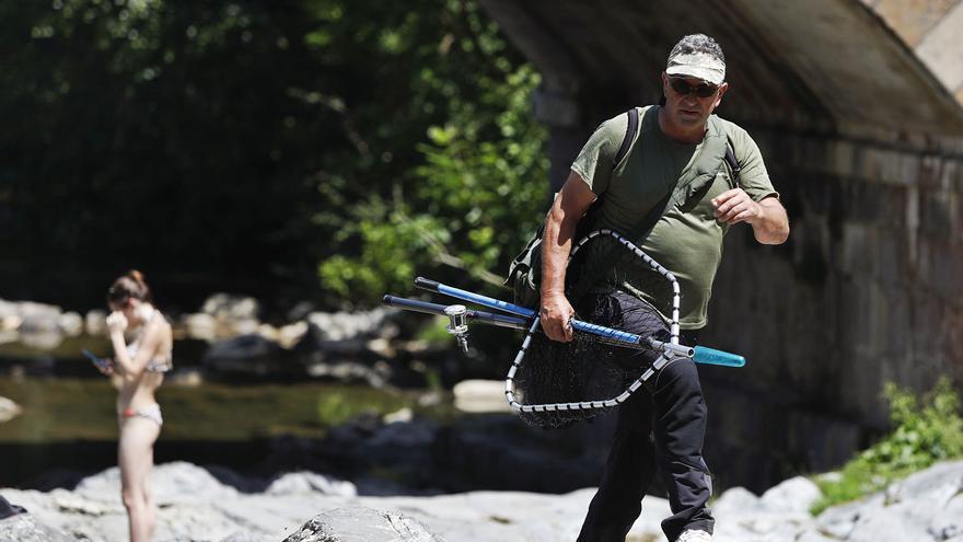 La pesca del salmón pierde fuerza en Asturias: el rey del río está a punto de abdicar - Vimarsana News