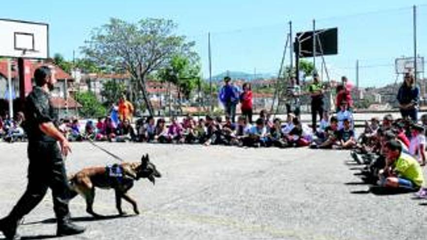 El perro antidroga comenzará a trabajar el próximo verano