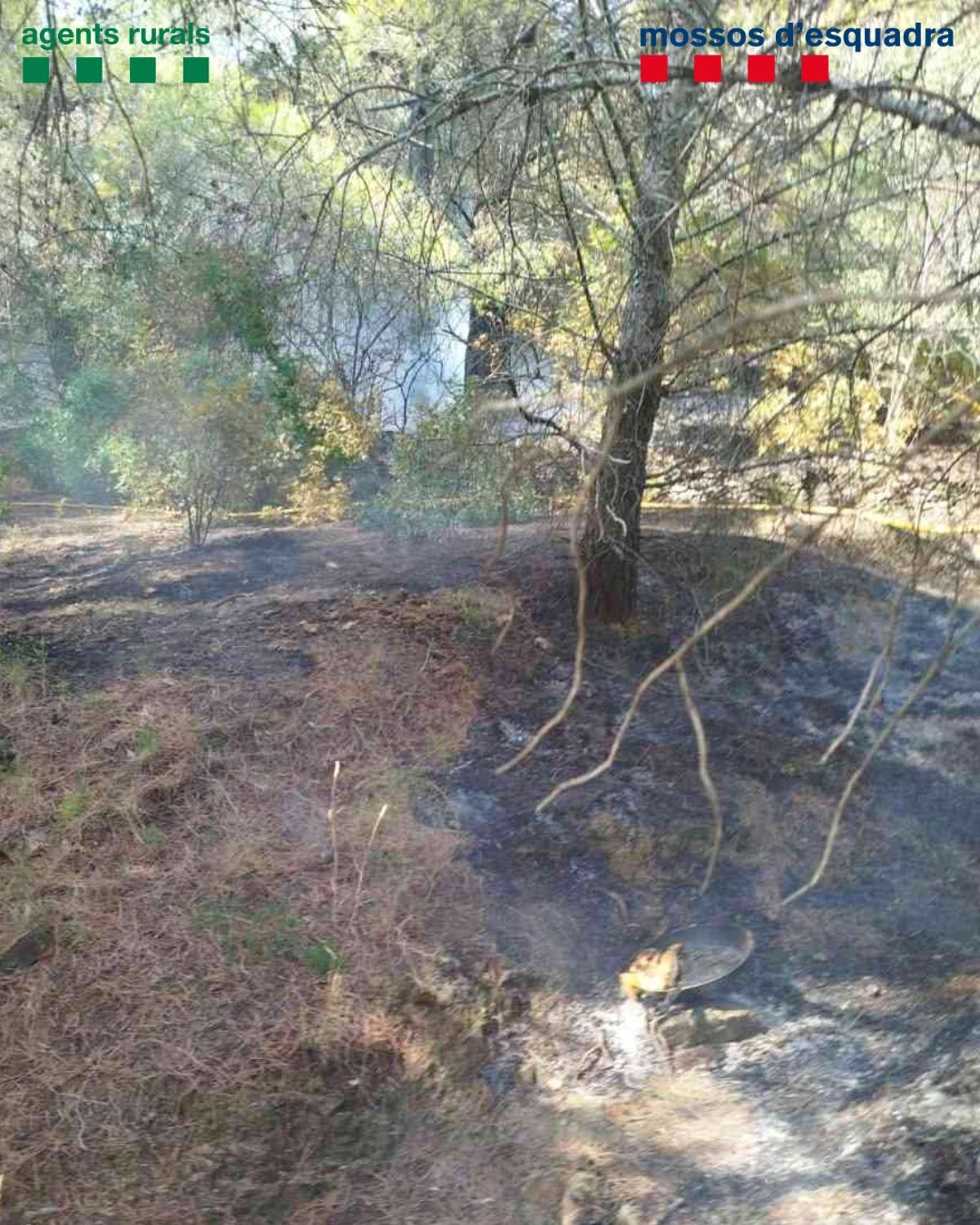 L'indret on es va iniciar l'incendi de Llançà.
