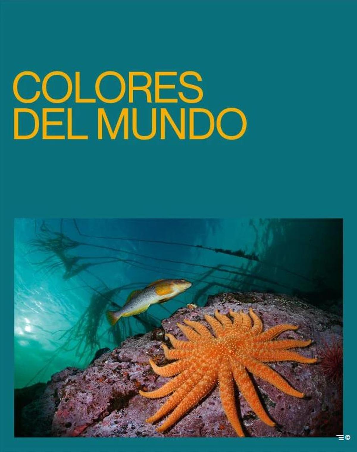La exposición está abieta al público las 24 horas del día
