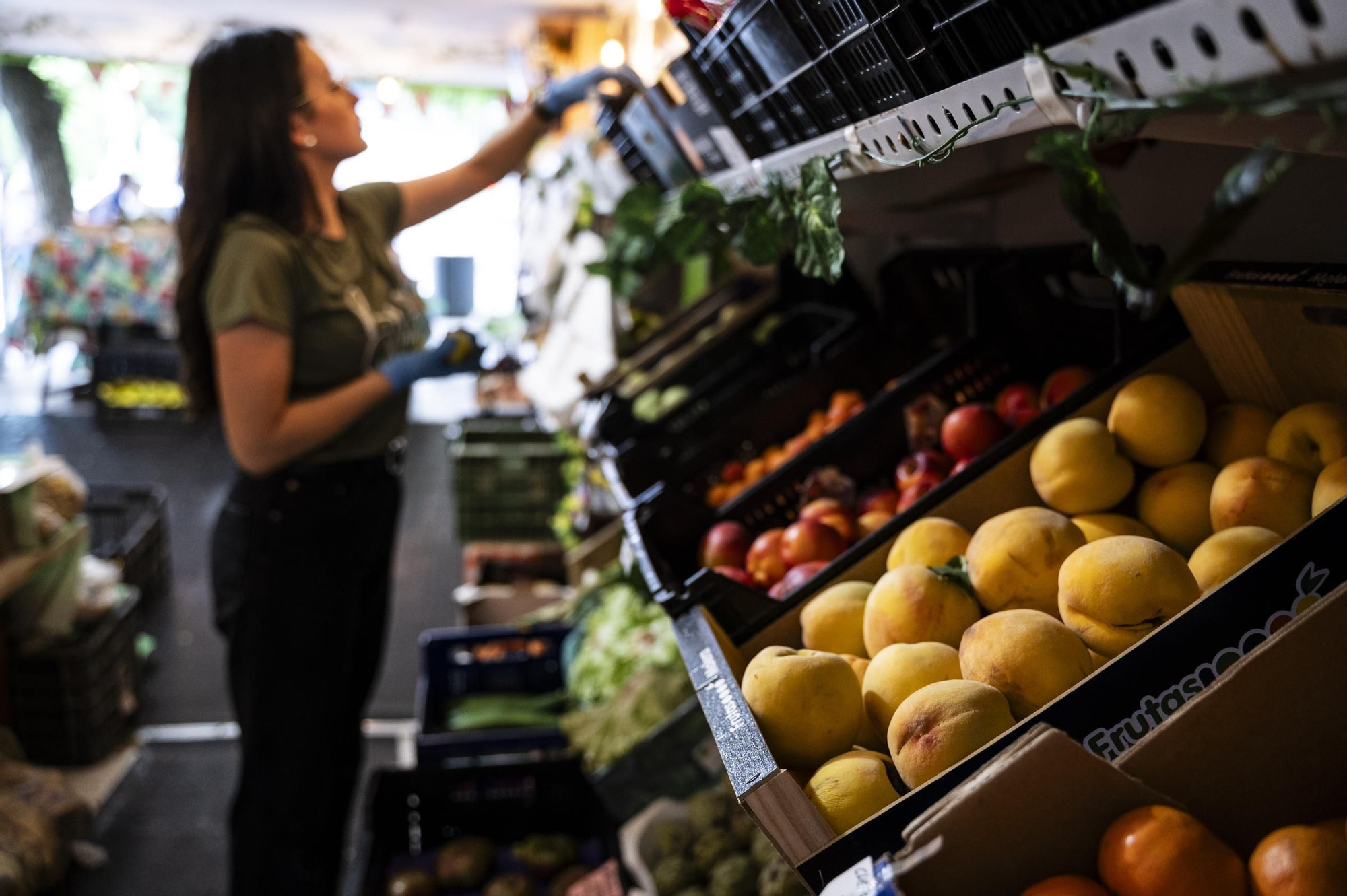 Llegan las frutas de hueso a los establecimientos comerciales