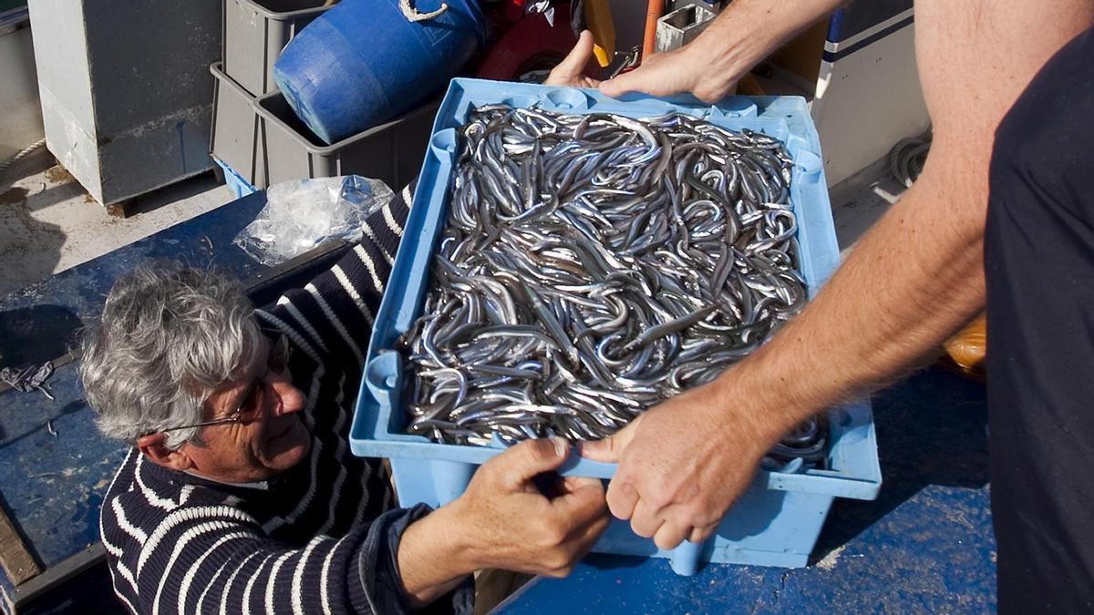 Pescadores con una caja de sonsos