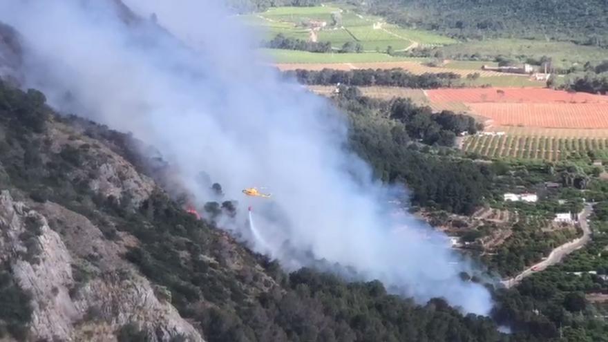 Un incendio forestal amenaza el valle de la Murta de Alzira