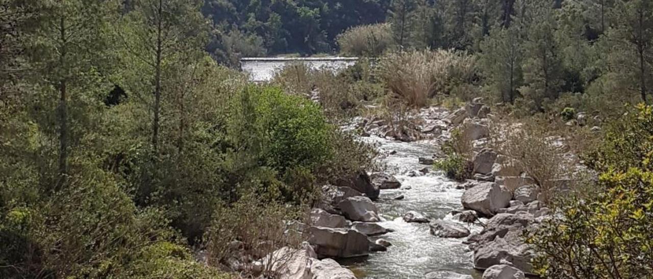 Imagen del río Serpis en la localidad de Lorcha el pasado fin de semana