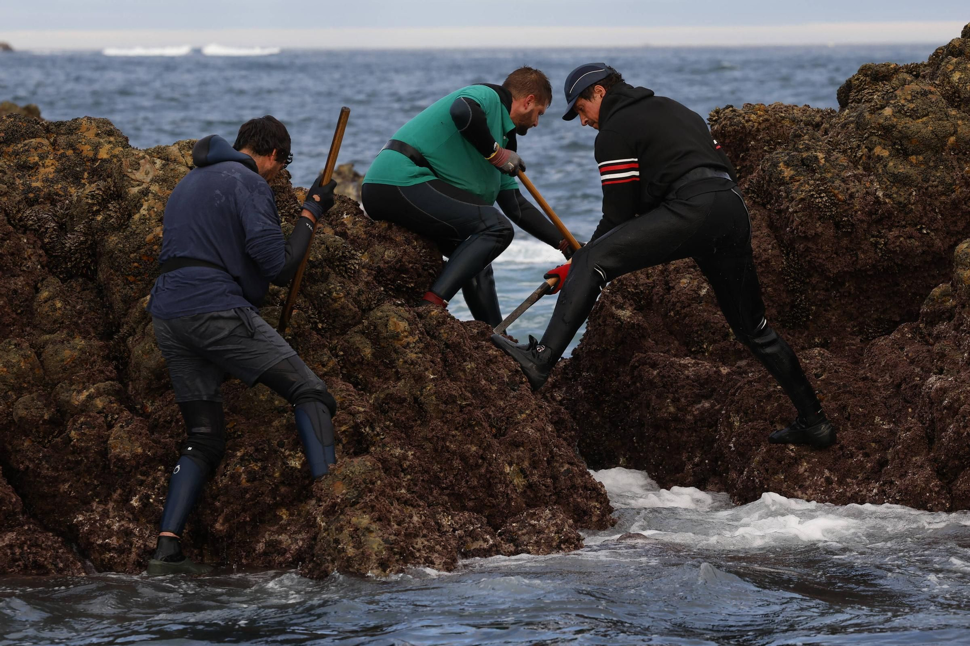 EN IMÁGENES: Así es la dura jornada de los perceberos del cabo Peñas: un oficio de alto riesgo a merced de las olas