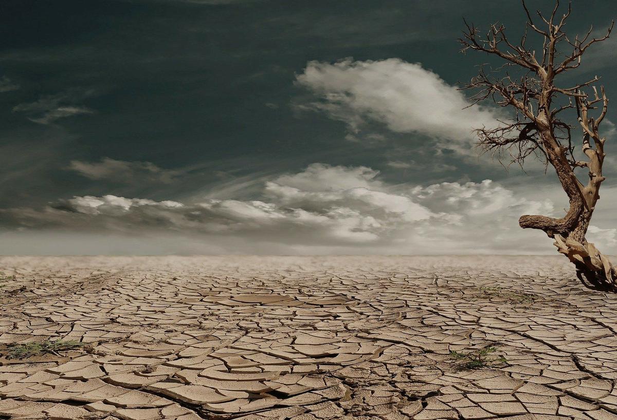 Terreno afectado por la sequía.