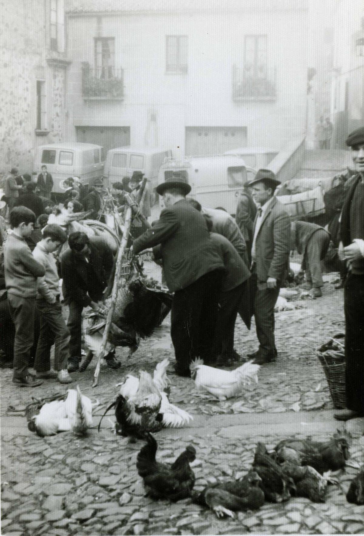 Fotogalería | Así era el mercado de abastos en 1931