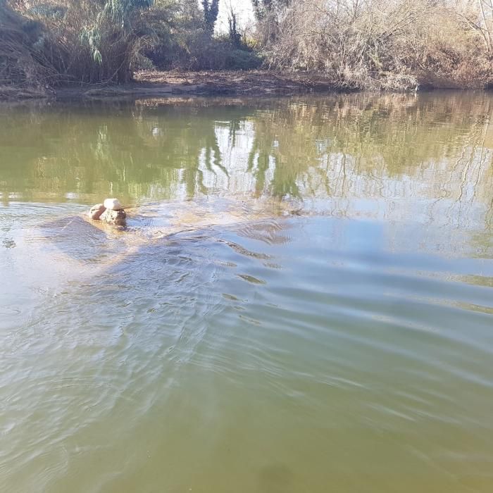 Els treballadors del Kayak del Ter van retirar ahir el vehicle localitzat el juliol