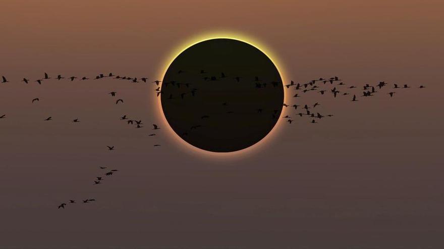 Ni perill per embarassos ni augment de la radiació: aquestes són les notícies falses més repetides de l’eclipsi