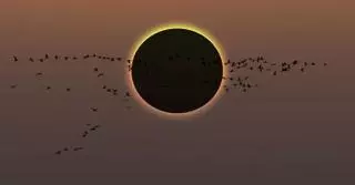 Ni perill per embarassos ni augment de la radiació: aquestes són les notícies falses de l’eclipsi solar