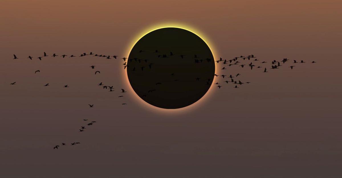 Ni perill per embarassos ni augment de la radiació: aquestes són les notícies falses més repetides de l’eclipsi