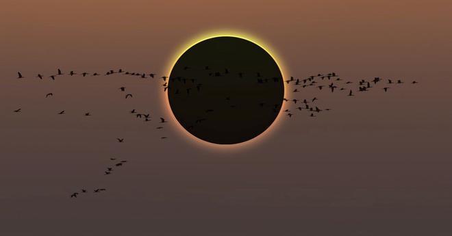 El trivial definitivo del eclipse: 20 preguntas para poner a prueba cuánto sabes del fenómeno astronómico del siglo