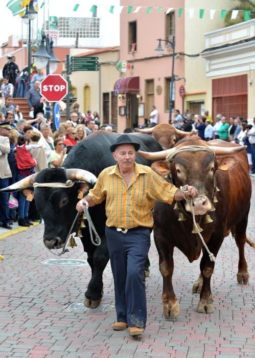 LA CANDELARIA FIESTAS INGENIO