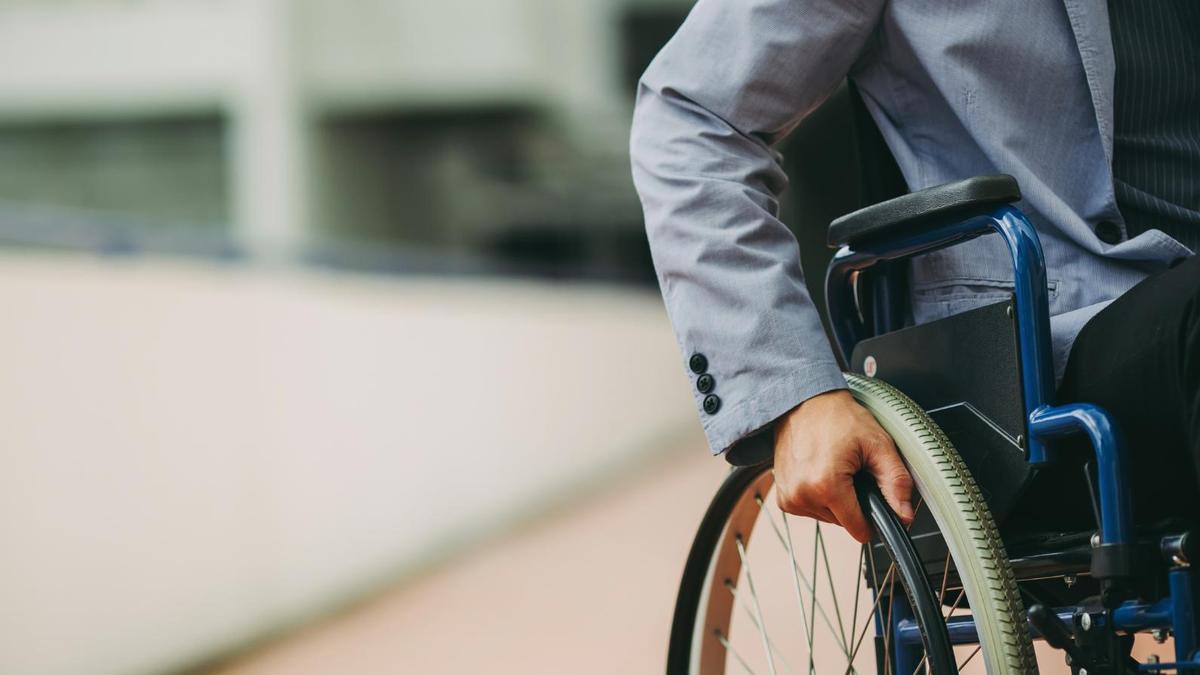 Hoy 3 de diciembre se celebra el Día Internacional de las Personas con Discapacidad,