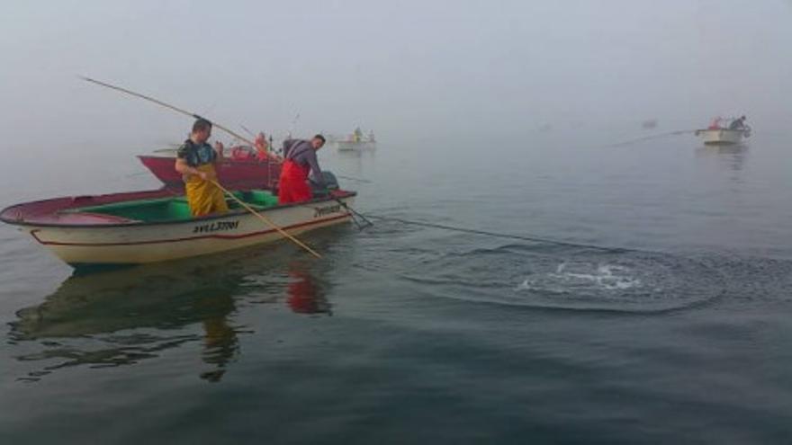 Así faenan los "rañeiros" de Arousa