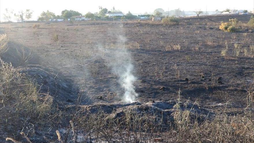 Gran incendio de pastos en la carretera de Olivenza