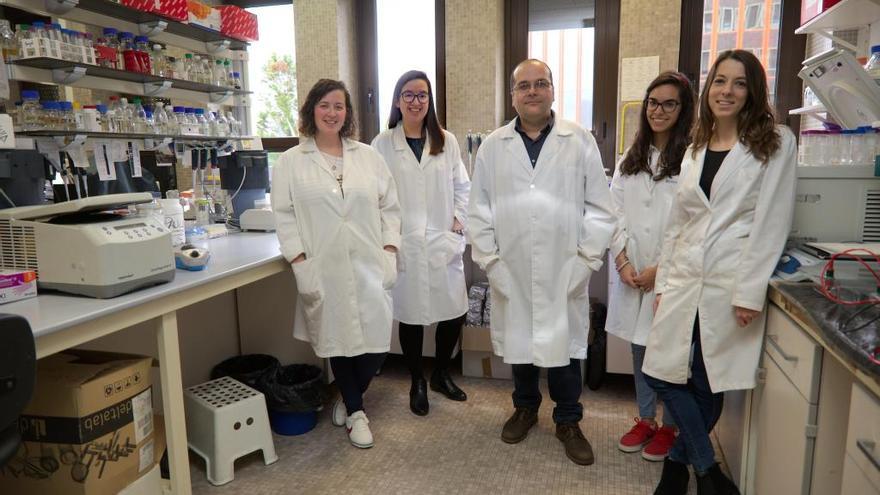 Investigadores asturianos descubren nuevos mecanismos de regulación de la producción de antibióticos en bacterias