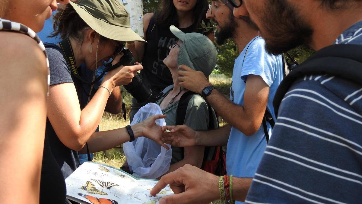 Grupo de voluntarios del Observatori Metropolità de Papallones.