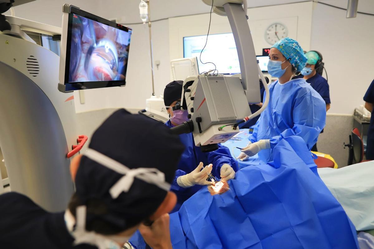 FacoElche: Cirugías de cataratas y glaucoma en directo desde el Hospital del Vinalopó
