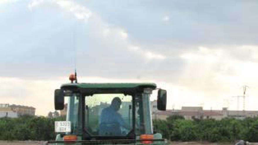 Técnicas que ayudan a preparar el campo para una buena cosecha