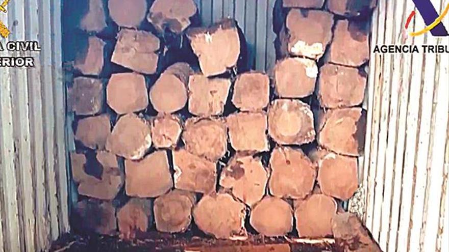 Escondían más de una tonelada de cocaína en troncos de madera